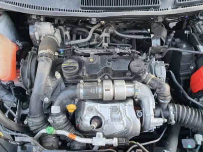 1.5 d bgg motor ford fiesta 75 hp 2016