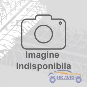 Geam usa skoda roomster s.f