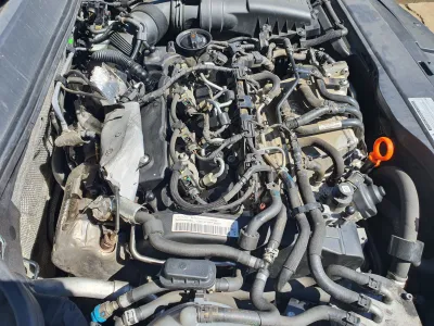 2.0 ckf motor seat leon 5f